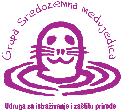 Sredozemna medvjedica