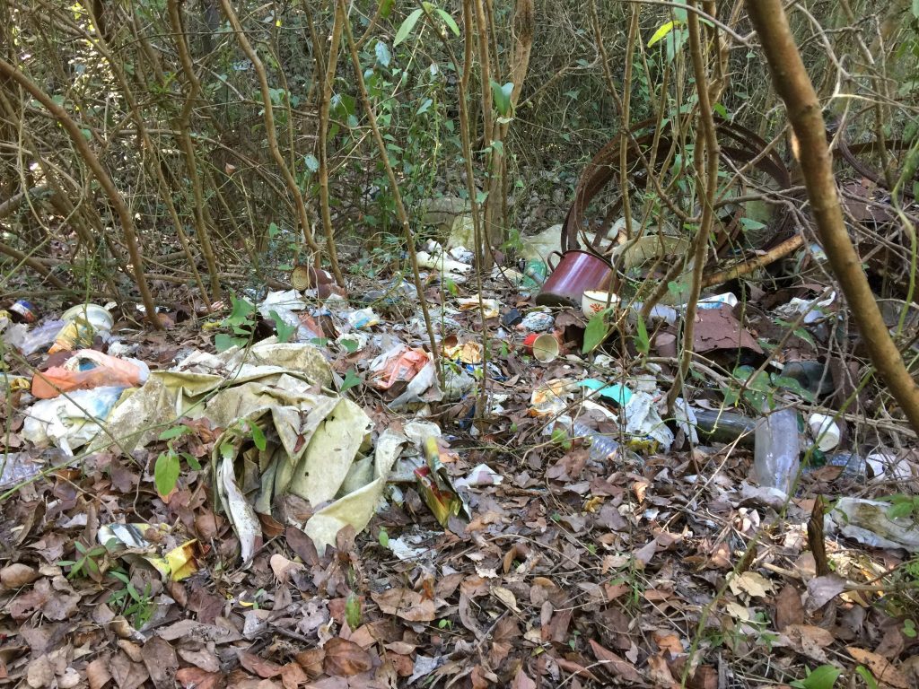Problem ilegalnih deponija i odvoza glomaznog otpada s Biševa